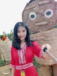 河西南娜